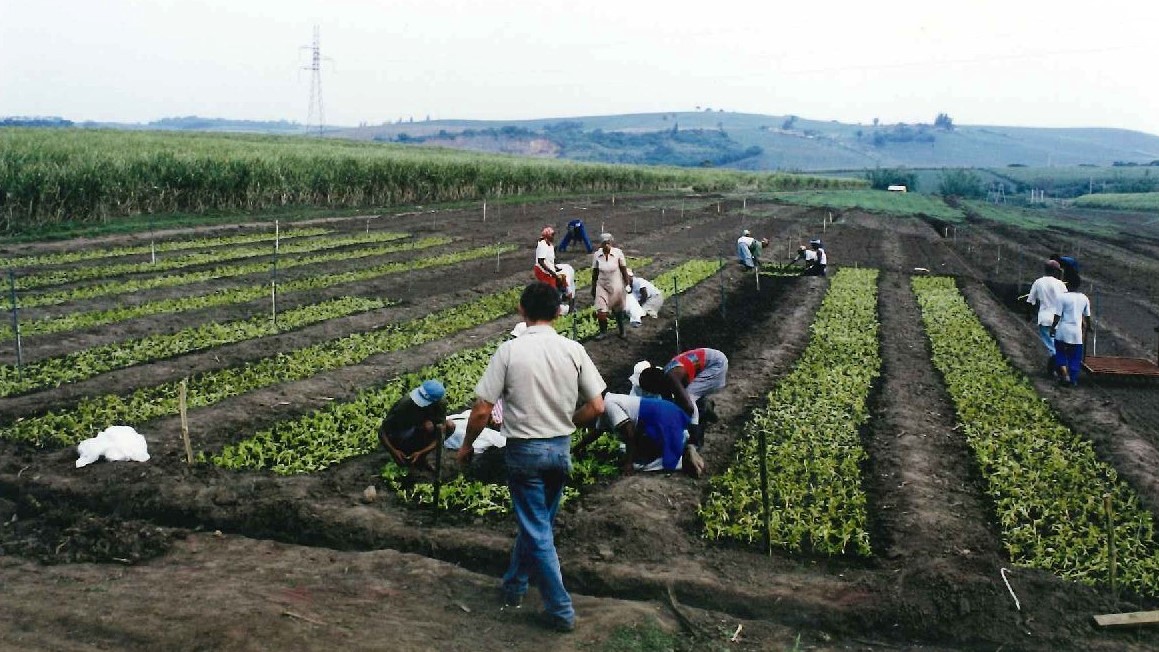 old nursery